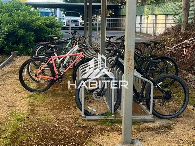 place photo 14
