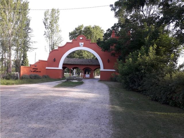 place photo 14