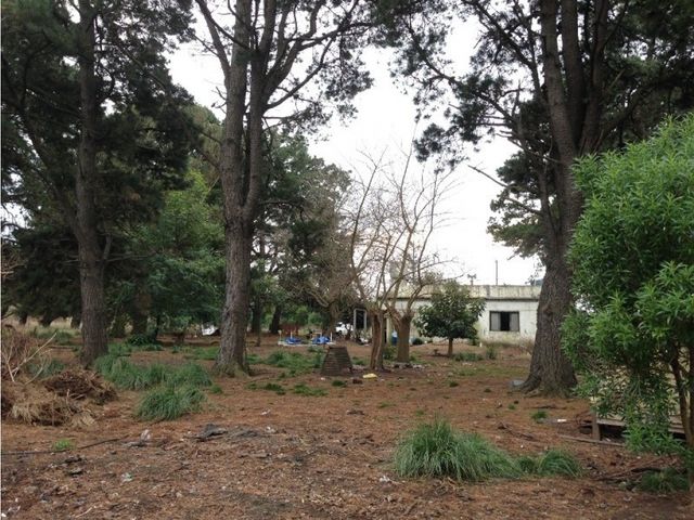 place photo 6