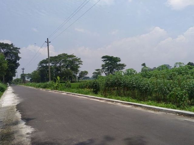 place photo 5