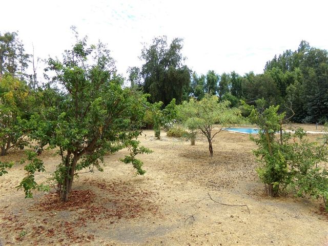 place photo 47