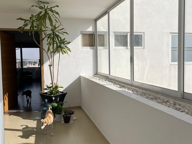 place photo 28