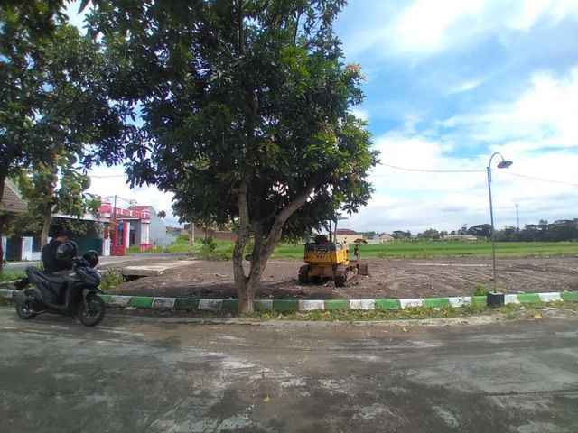 place photo 3