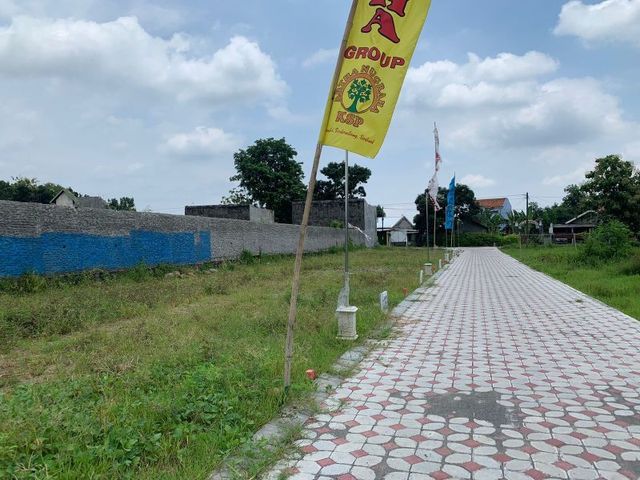 place photo 4