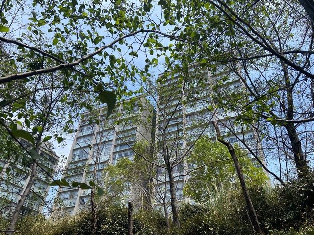place photo 47