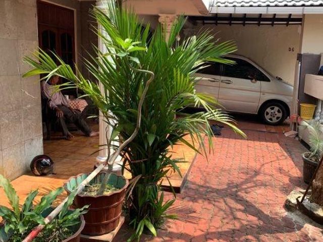 place photo 19