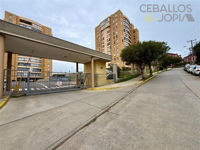 place photo 34