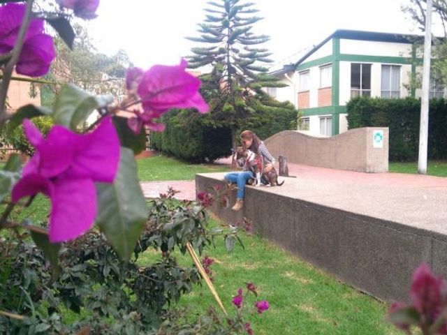 place photo 11