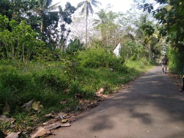place photo 9