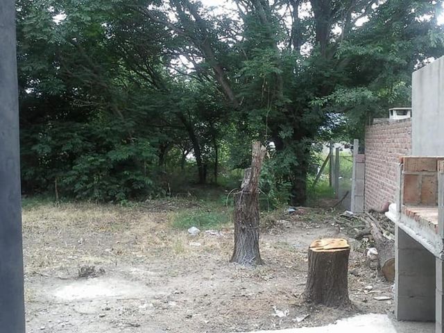 place photo 10
