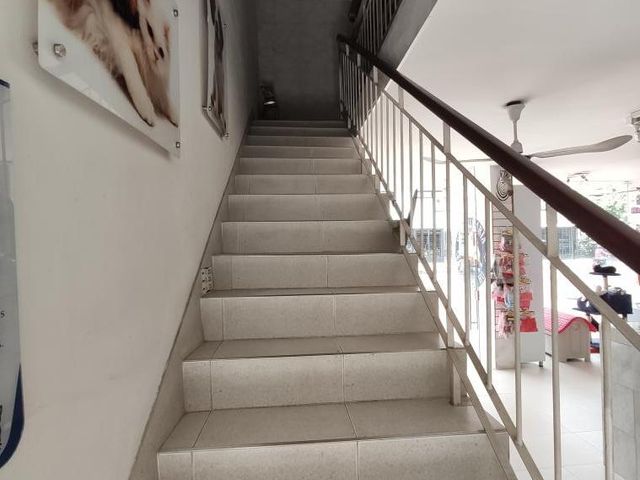 place photo 20