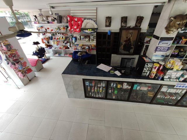 place photo 21