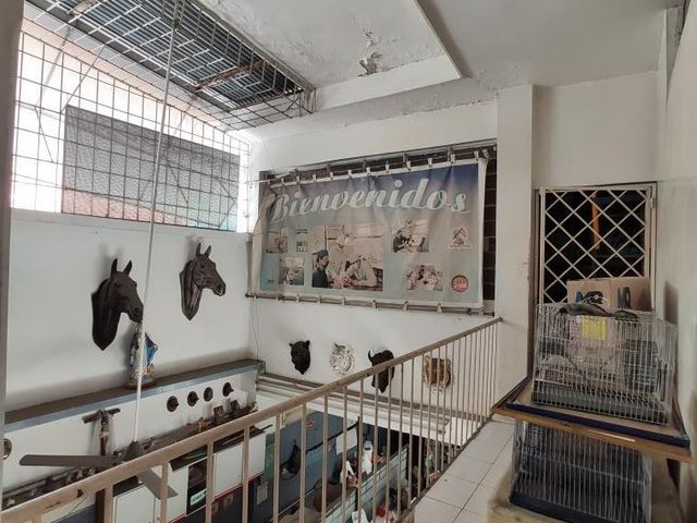 place photo 23