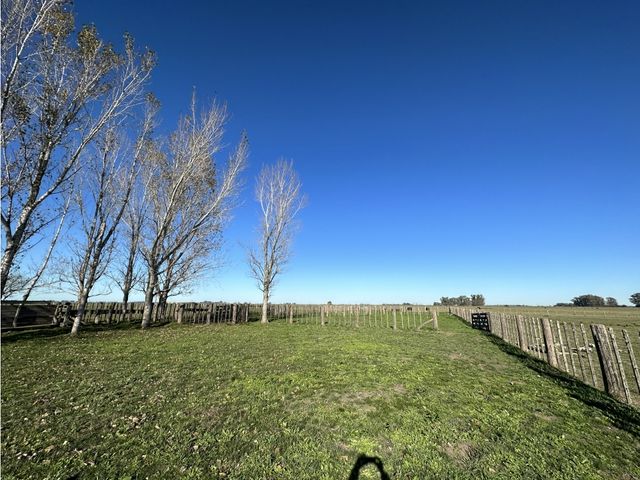 place photo 21