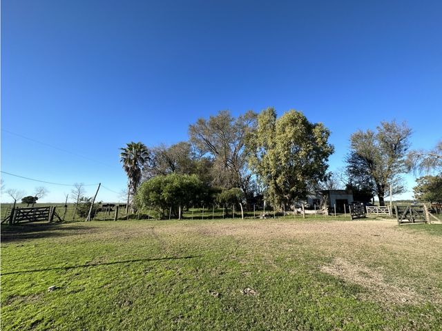 place photo 24