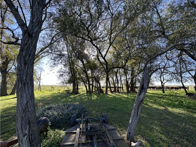 place photo 34
