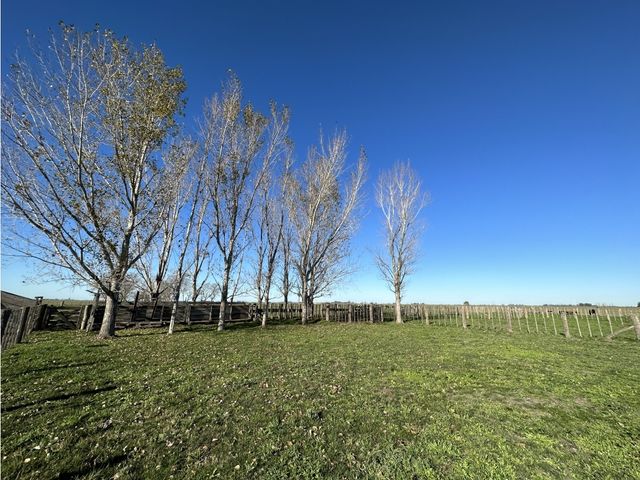 place photo 26