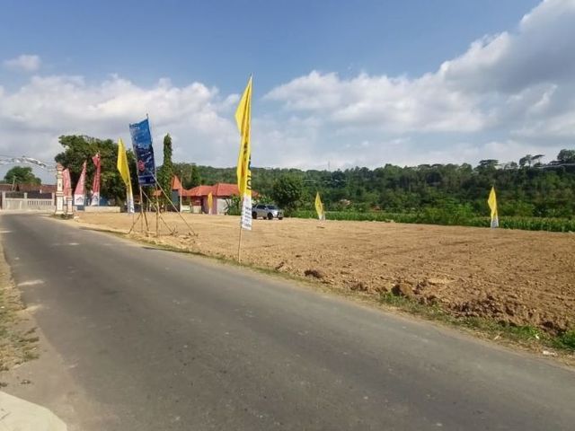place photo 4