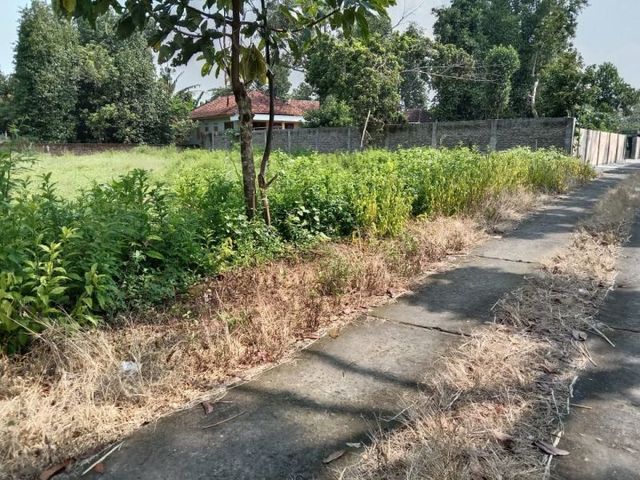 place photo 3