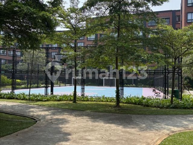 place photo 30