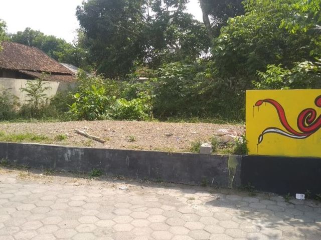 place photo 2