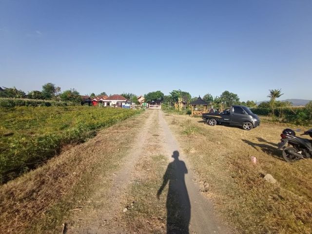 place photo 6