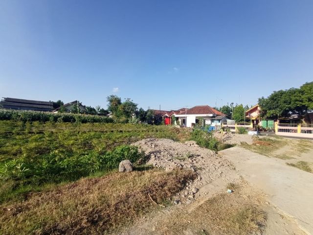 place photo 5