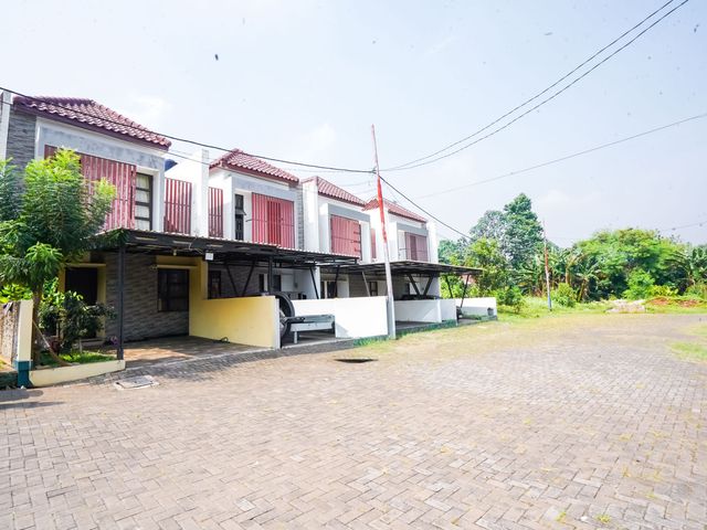 place photo 28