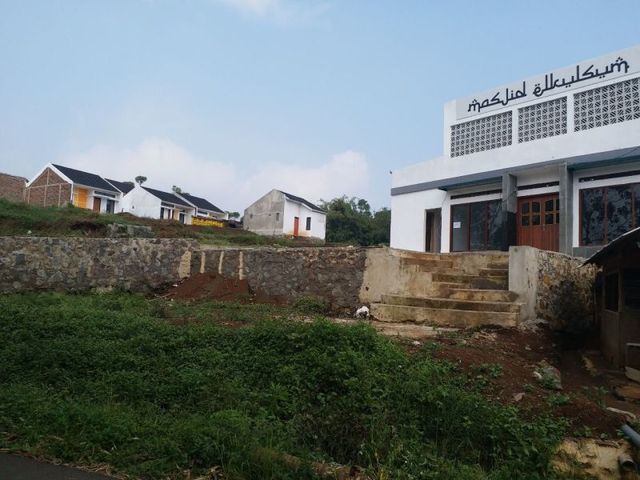 place photo 9
