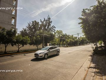 place photo 26