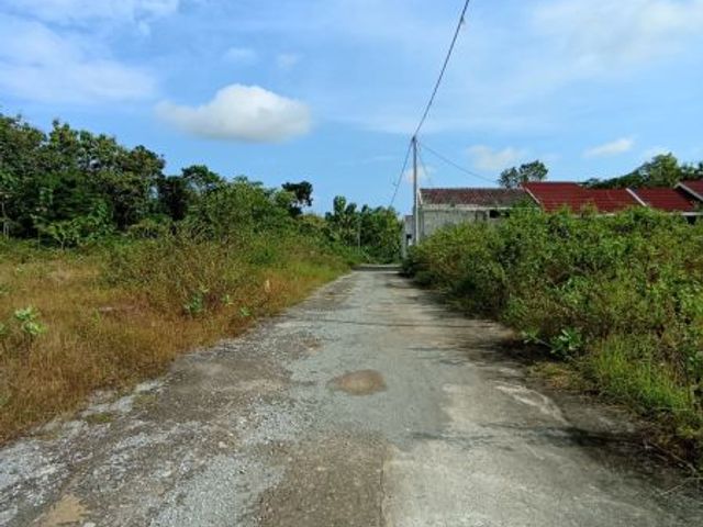 place photo 8
