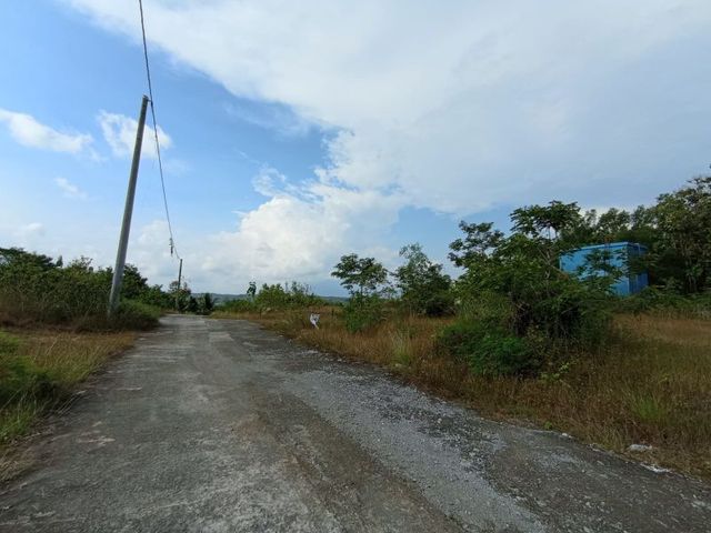 place photo 6
