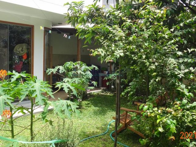 place photo 36