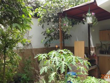 place photo 34