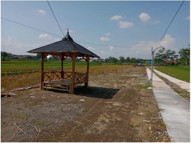 place photo 1