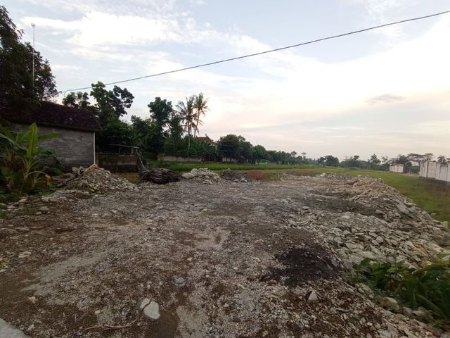 place photo 7