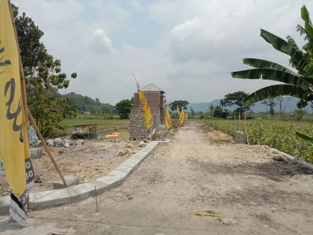 place photo 4