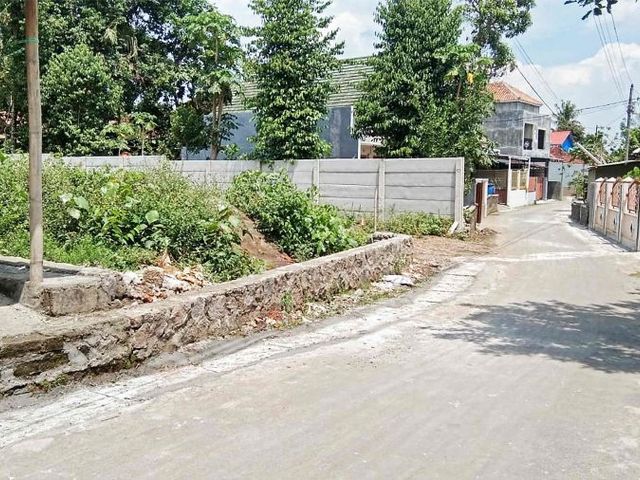 place photo 6