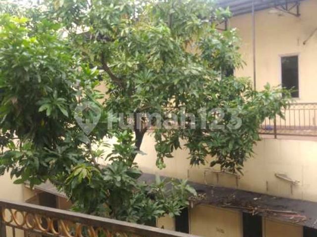 place photo 36