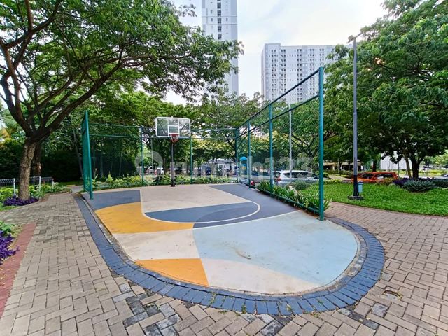 place photo 15