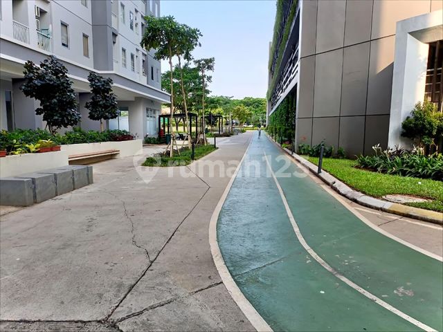 place photo 17