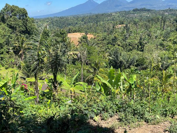 Ubud, GIANYAR, Bali, Indonesia