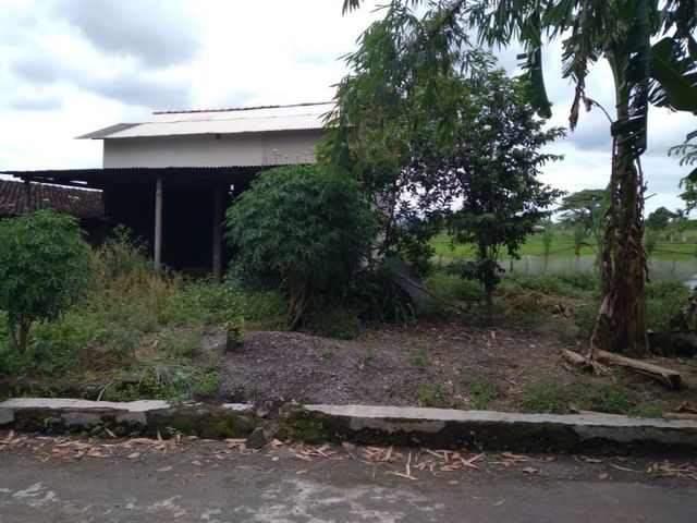 place photo 6