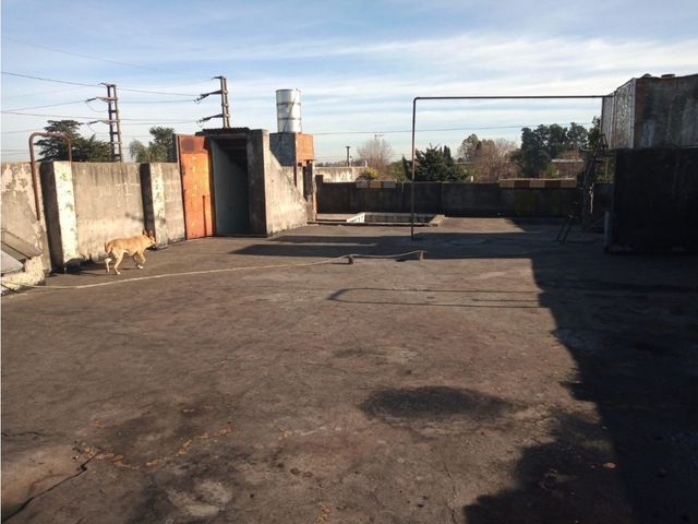 place photo 26