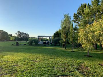 place photo 37