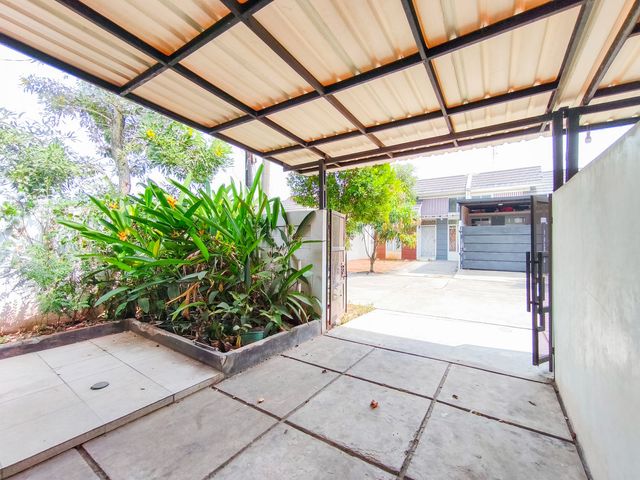 place photo 28