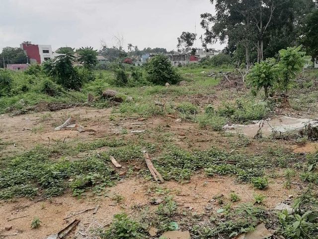 place photo 7