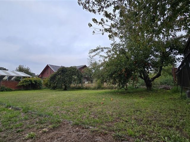 place photo 27