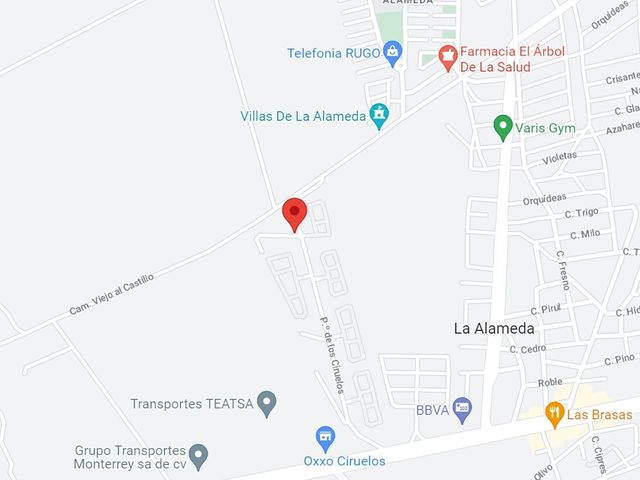 place photo 8