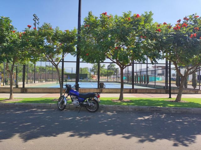 place photo 25